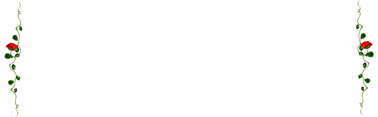 el bolero